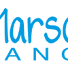 Logo of the association Marsouins de Langon